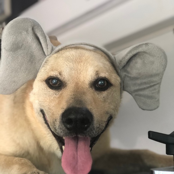 Meet your Posher, Estefhanie - Picture 1 of 1